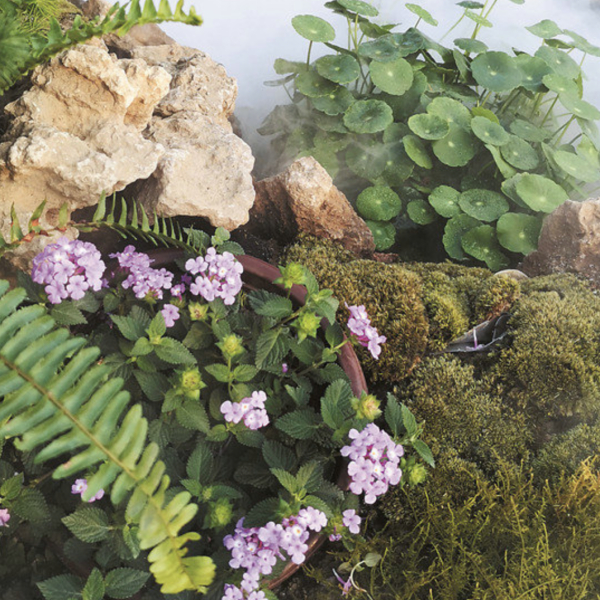 我国家庭园艺市场现状和发展方向